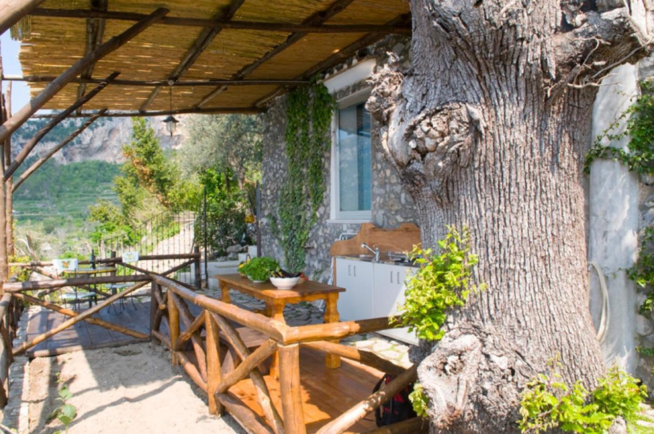 Fattoria La Tagliata Bed and breakfast 2*